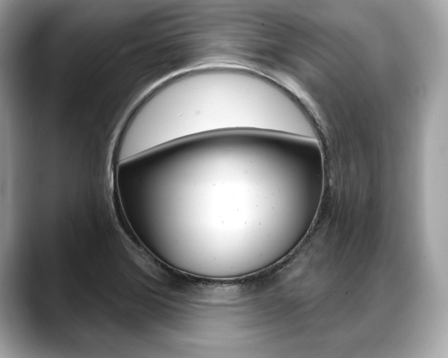 X0000088691372200705310950