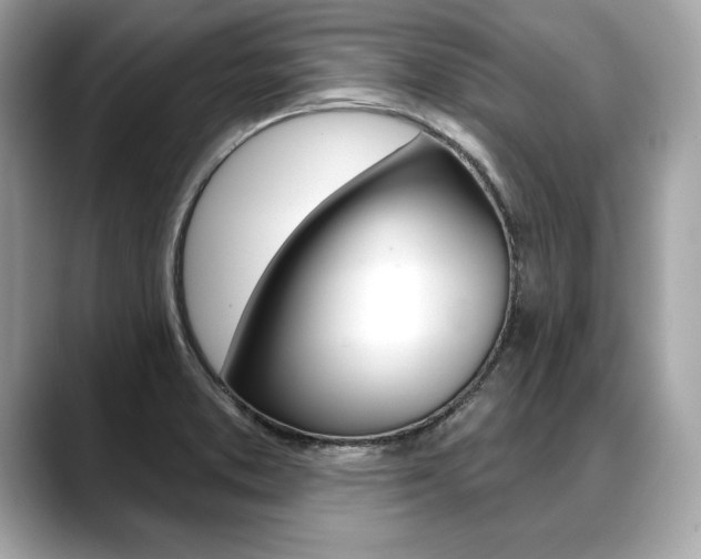 X0000088691373200705310950