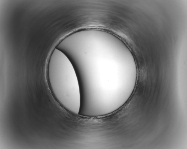 X0000088691374200705310950