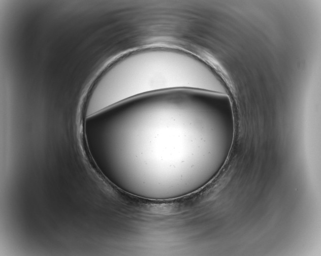 X0000088691376200705310950
