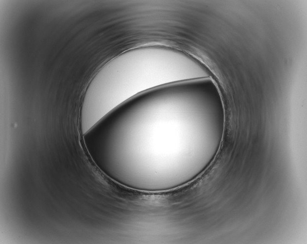 X0000088691377200705310950