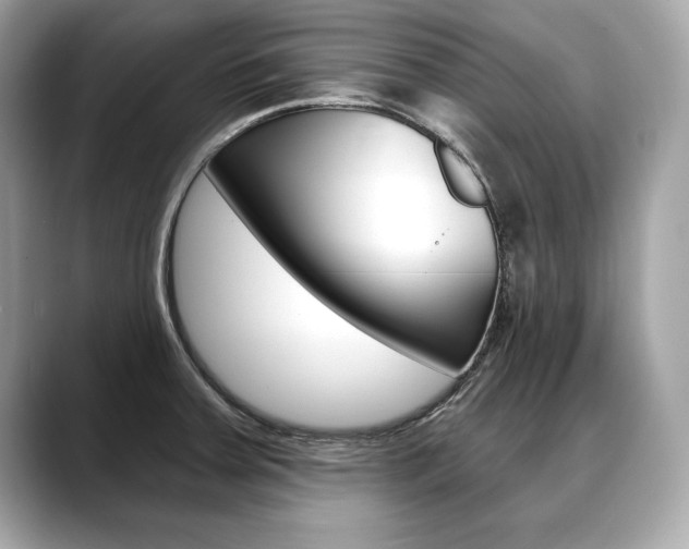 X0000088691379200705310950