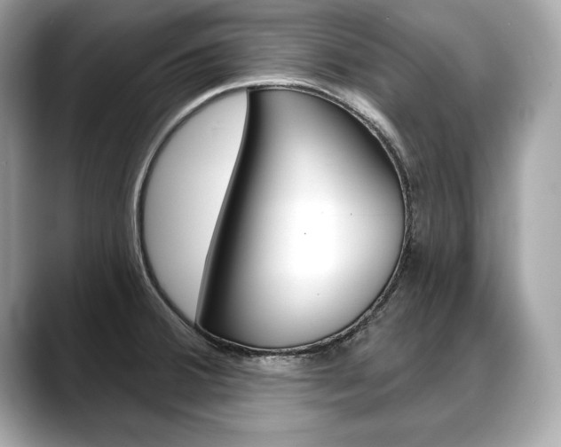 X0000088691380200705310950