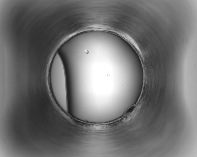 X0000088691381200705310950