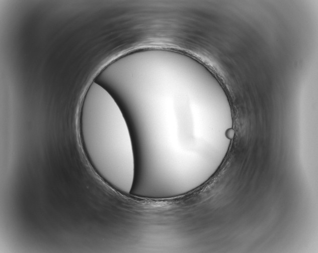 X0000088691382200705310950