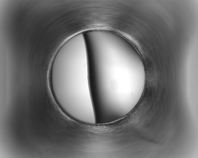 X0000088691383200705310950