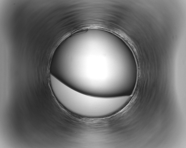 X0000088691385200705310950