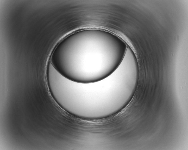 X0000088691388200705310950
