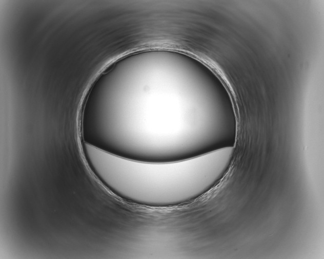 X0000088691389200705310950
