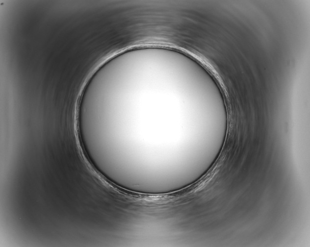 X0000088691390200705310950