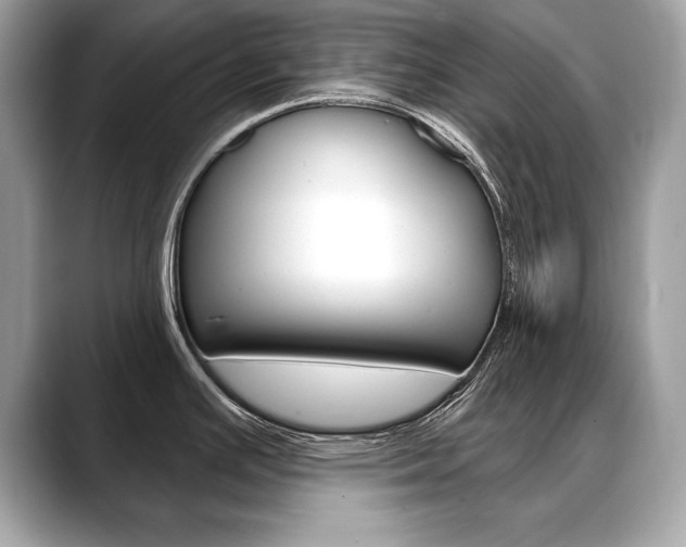 X0000088691391200705310950