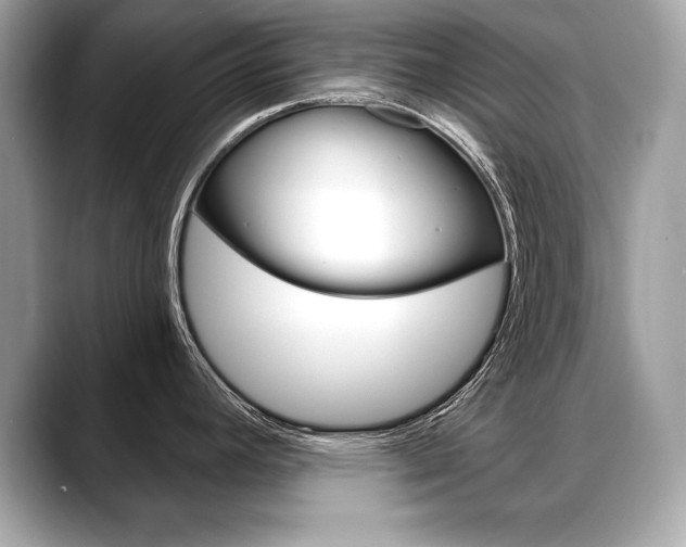 X0000088691392200705310950
