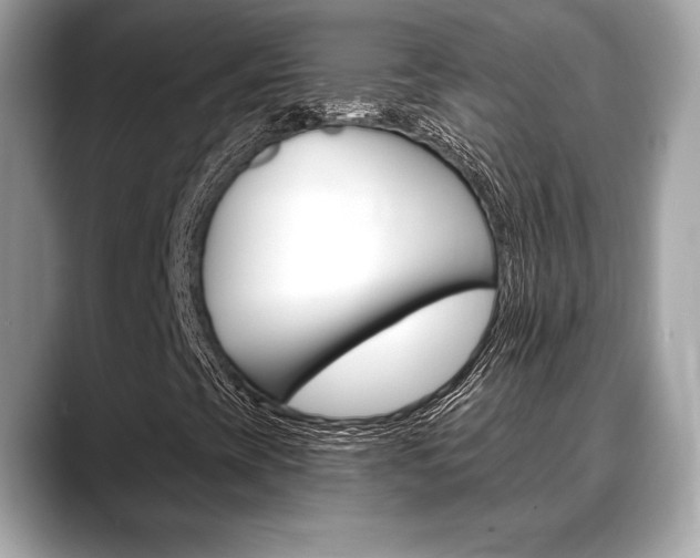 X0000088691393200705310949