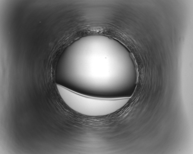 X0000088691394200705310949