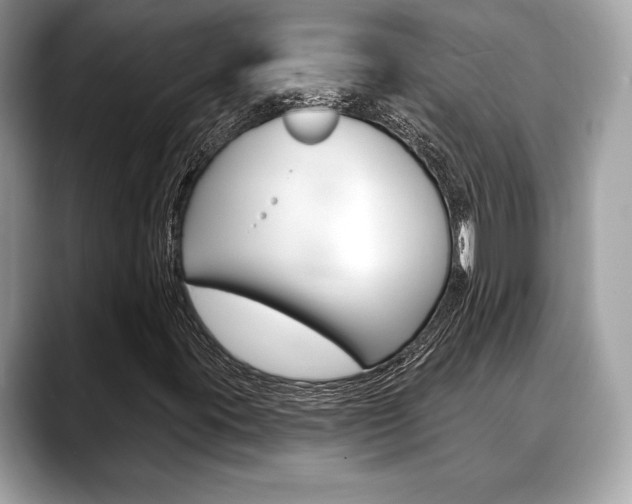 X0000088691395200705310949