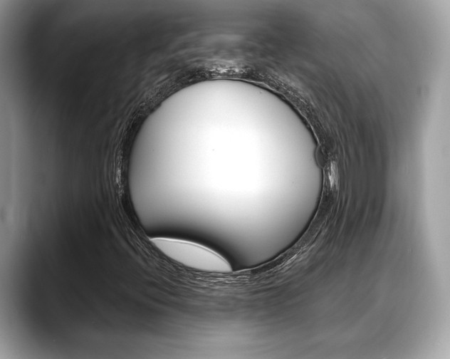 X0000088691396200705310949
