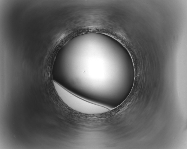X0000088691398200705310949