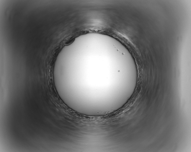 X0000088691399200705310949