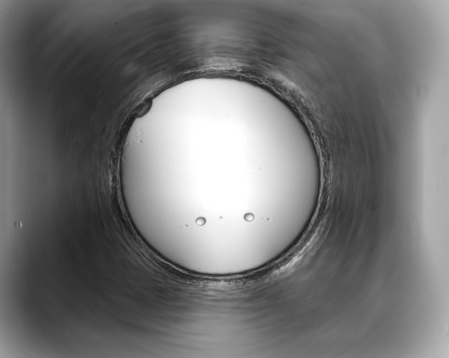 X0000088691401200705310949