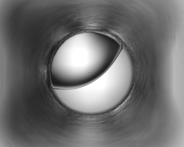 X0000088691402200705310949