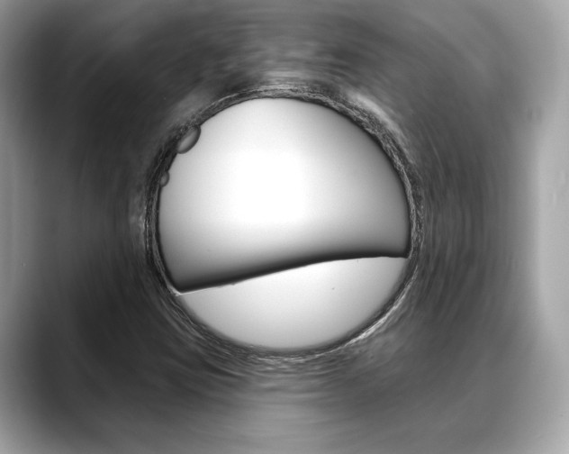 X0000088691403200705310949