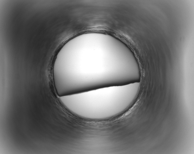 X0000088691405200705310949