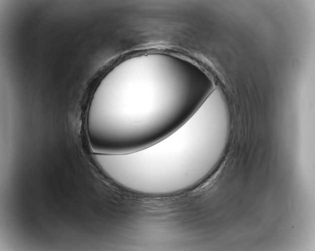 X0000088691406200705310949