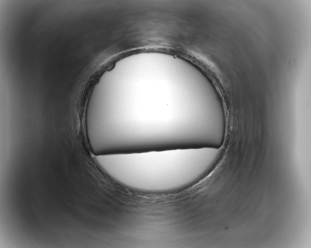 X0000088691407200705310949