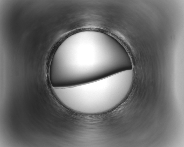 X0000088691408200705310949