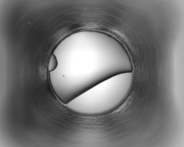 X0000088691409200705310949