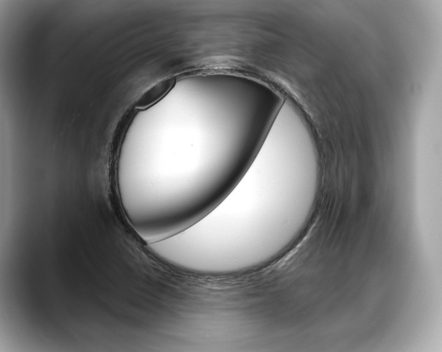X0000088691410200705310949