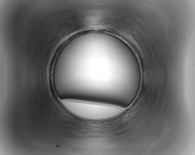 X0000088691412200705310949