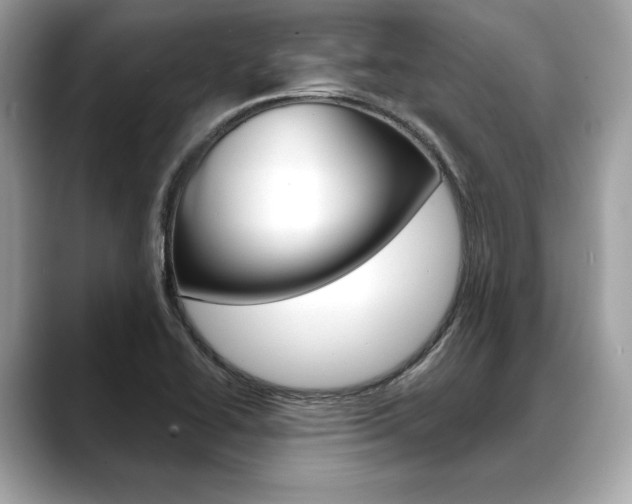 X0000088691414200705310949