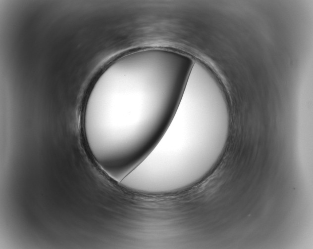 X0000088691416200705310950