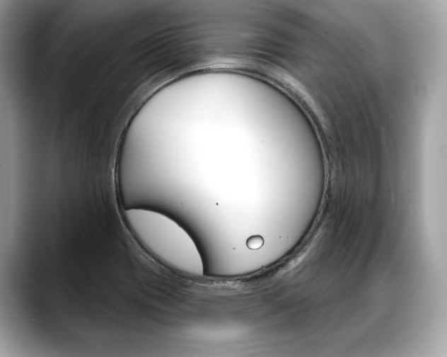 X0000088691417200705310950