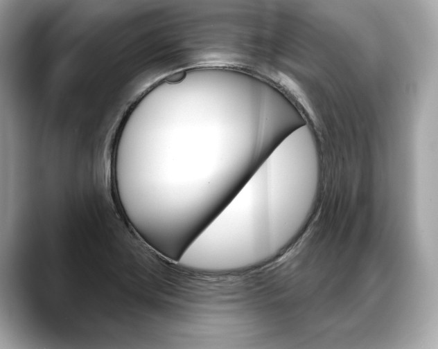 X0000088691419200705310950