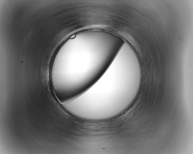 X0000088691420200705310950