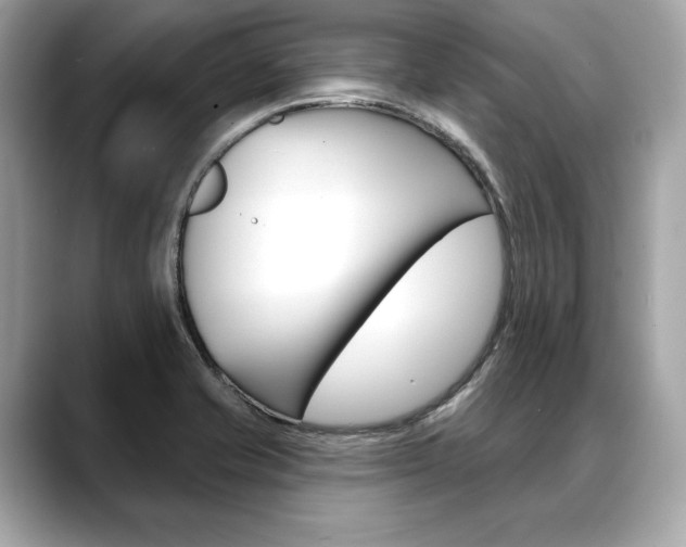 X0000088691421200705310950