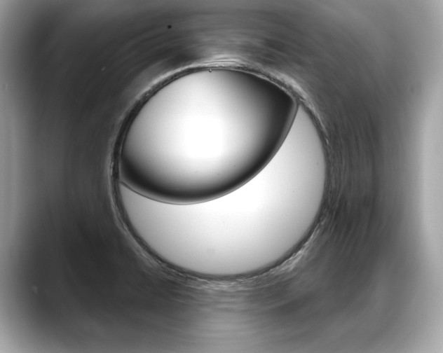 X0000088691422200705310950