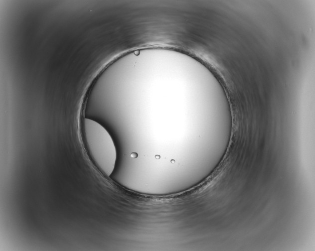 X0000088691423200705310950