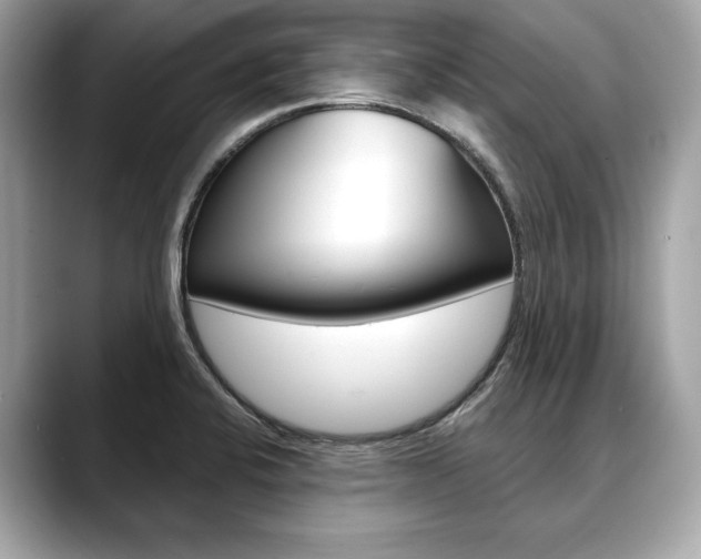 X0000088691424200705310950