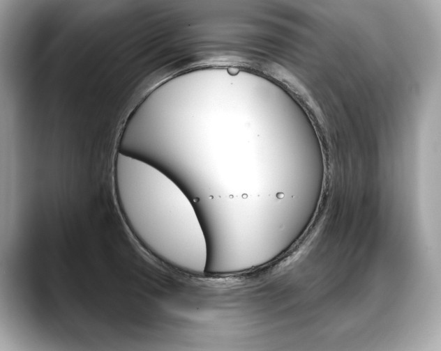 X0000088691425200705310950