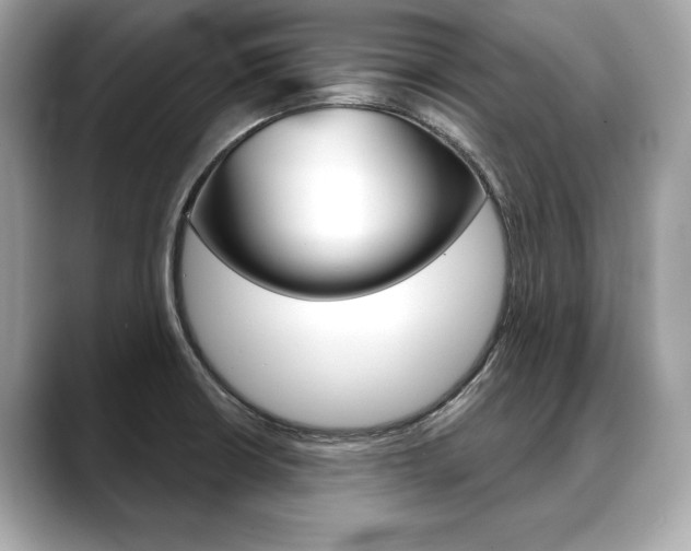 X0000088691426200705310950