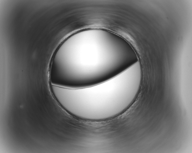 X0000088691428200705310950