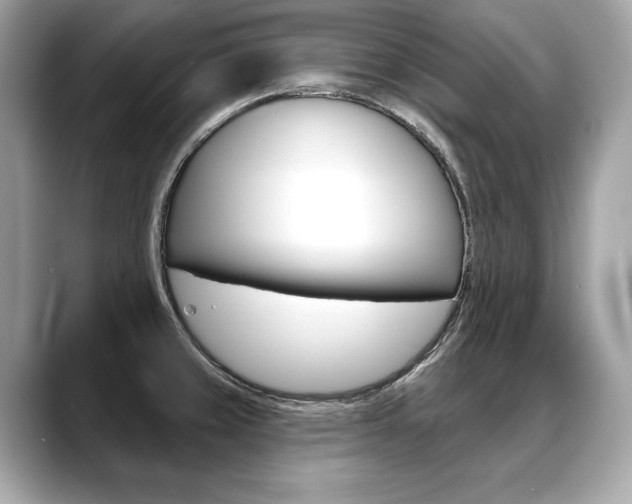 X0000088691429200705310950