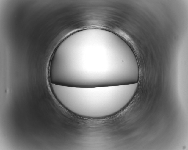 X0000088691431200705310950