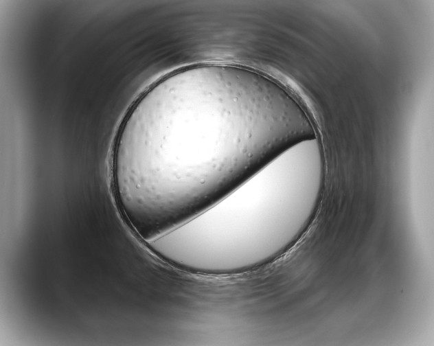 X0000088691432200705310950