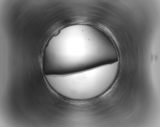 X0000088691433200705310950