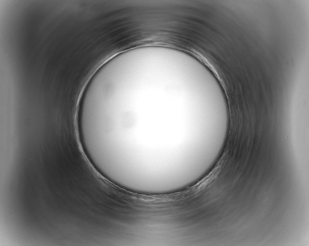 X0000088691434200705310950