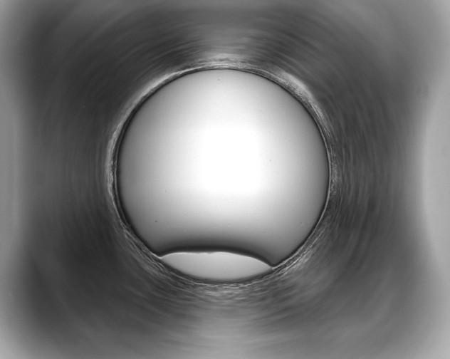 X0000088691435200705310950